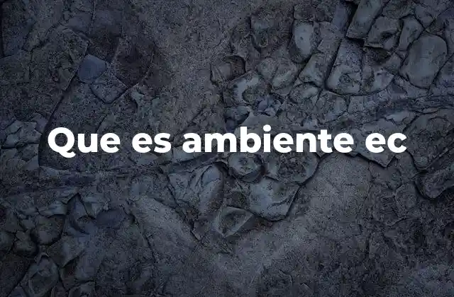 Que es Ambiente Ec