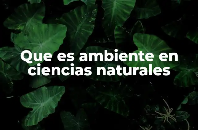 Que es Ambiente en Ciencias Naturales
