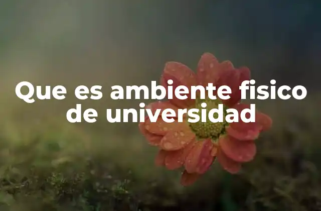 Que es Ambiente Fisico de Universidad