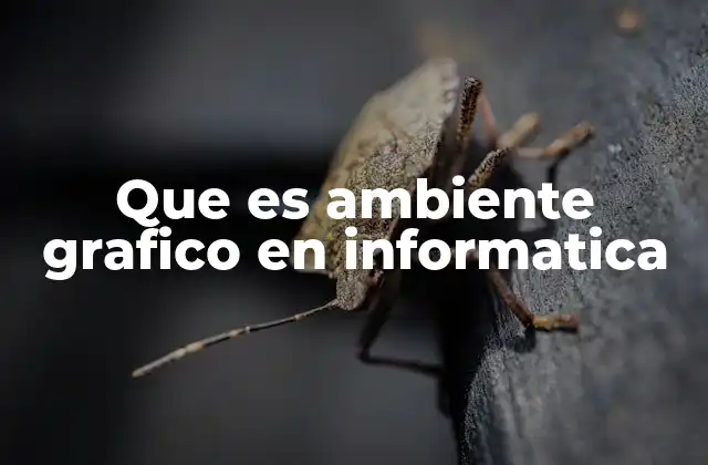 Cómo funcionan los entornos gráficos en los sistemas operativos