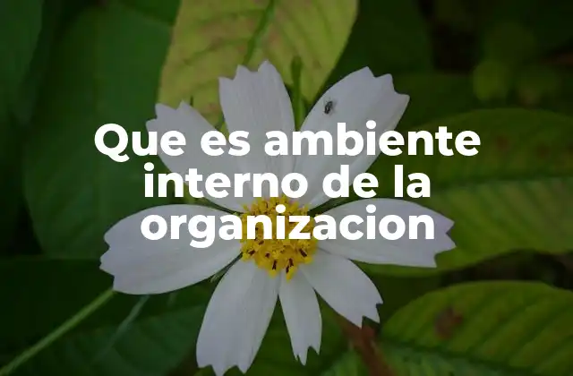 Que es Ambiente Interno de la Organizacion