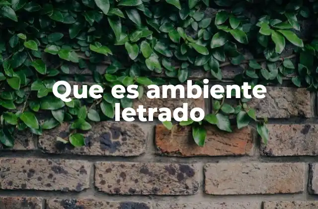 Que es Ambiente Letrado