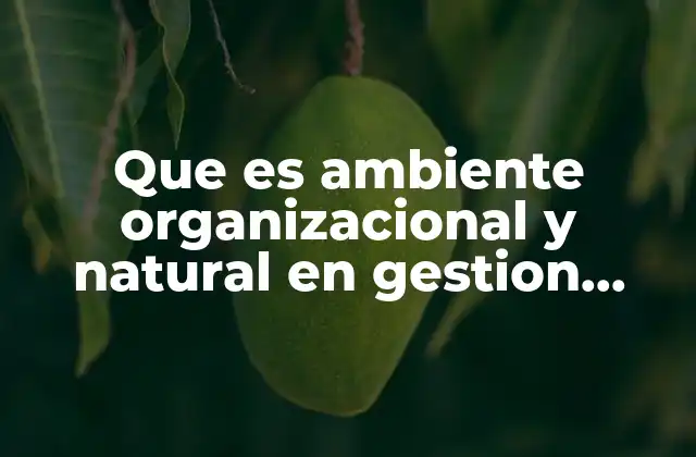 Que es Ambiente Organizacional y Natural en Gestion Empresarial
