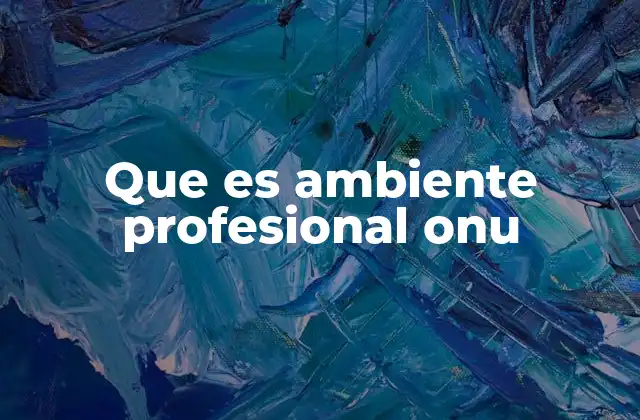 Que es Ambiente Profesional Onu