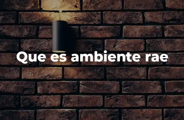 Que es Ambiente Rae