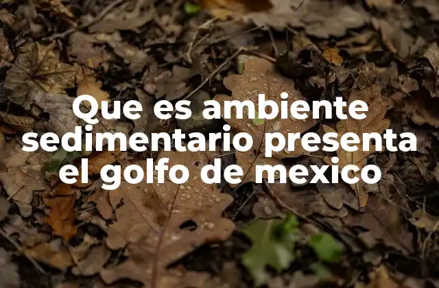 Que es Ambiente Sedimentario Presenta el Golfo de Mexico 2 Características geográficas del Golfo de México que favorecen la sedimentación