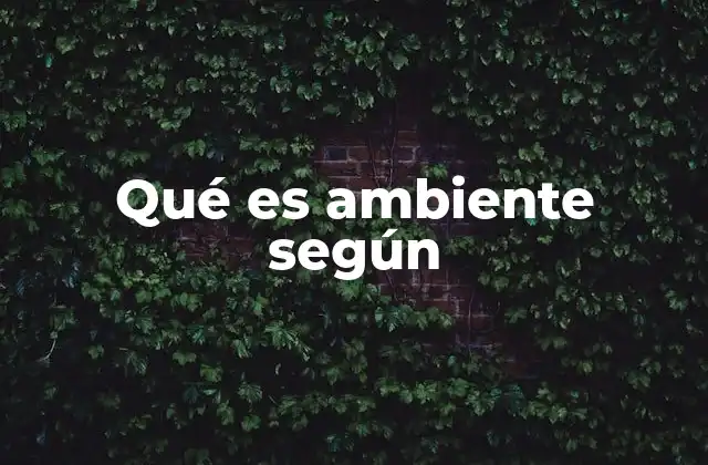 Qué es Ambiente según