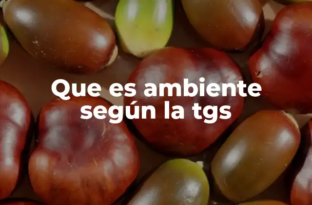 Que es Ambiente según la Tgs