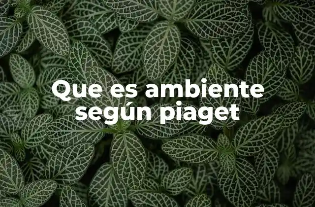 Que es Ambiente según Piaget