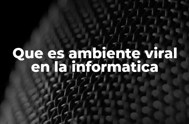 Que es Ambiente Viral en la Informatica