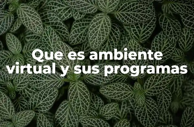 Que es Ambiente Virtual y Sus Programas