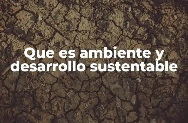Que es Ambiente y Desarrollo Sustentable