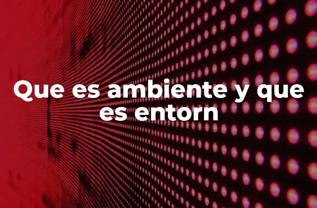 Que es Ambiente y que es Entorn