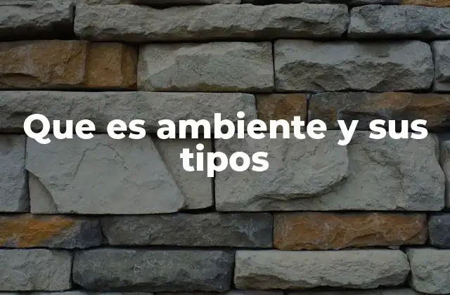 Que es Ambiente y Sus Tipos