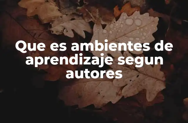 Que es Ambientes de Aprendizaje Segun Autores