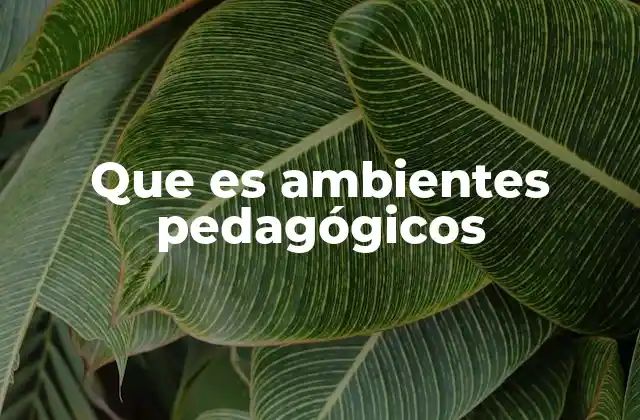 Que es Ambientes Pedagógicos