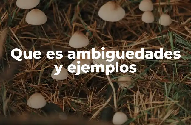 Que es Ambiguedades y Ejemplos