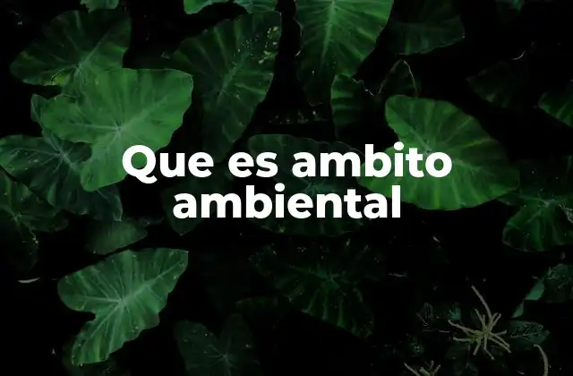 Que es Ambito Ambiental
