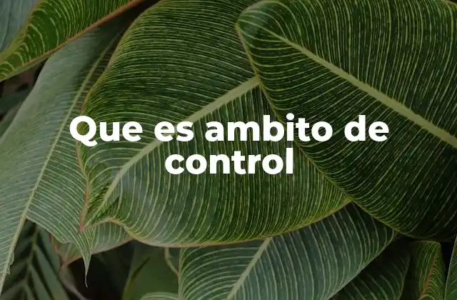Que es Ambito de Control