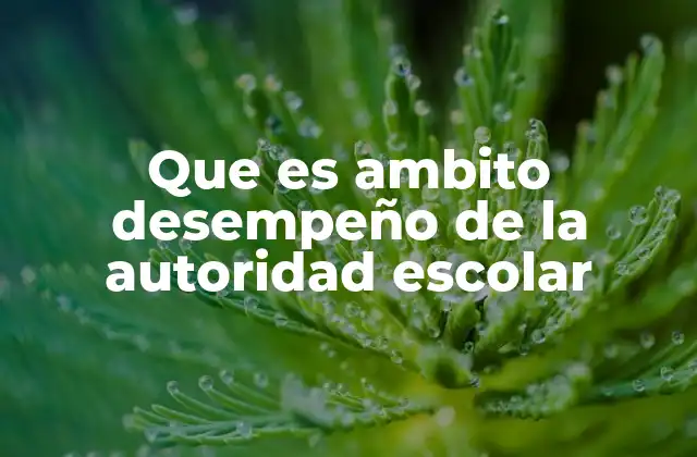 Que es Ambito Desempeño de la Autoridad Escolar