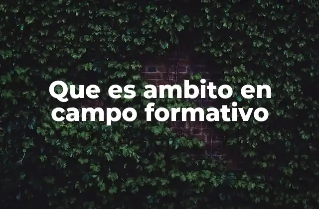 Que es Ambito en Campo Formativo