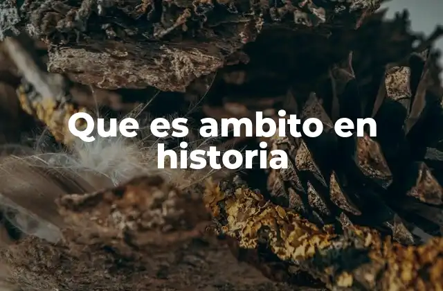 Que es Ambito en Historia