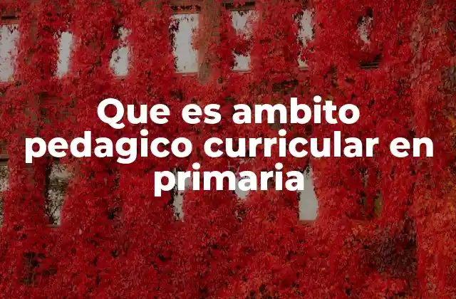 Que es Ambito Pedagico Curricular en Primaria
