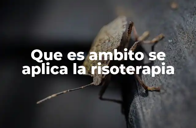 Que es Ambito Se Aplica la Risoterapia