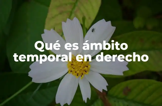 Qué es Ámbito Temporal en Derecho