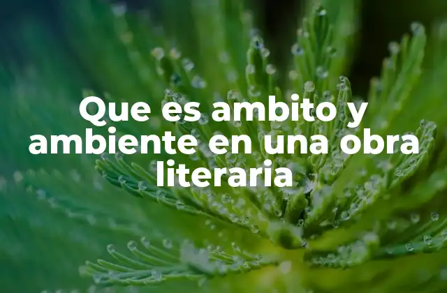 El papel del ámbito y el ambiente en la construcción de una historia