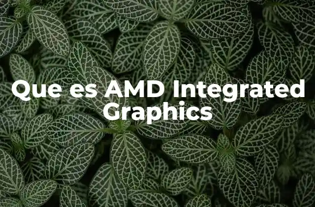 Que es Amd Integrated Graphics