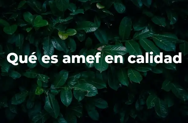 La importancia del AMEF en la gestión de procesos