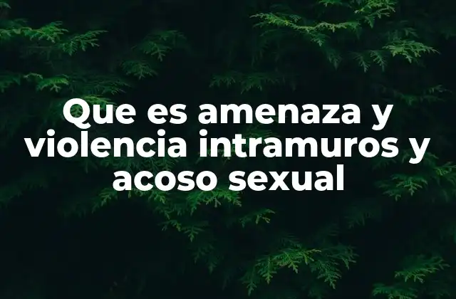 Que es Amenaza y Violencia Intramuros y Acoso Sexual