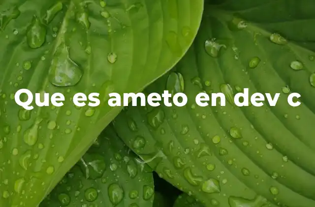 ¿Cómo se puede interpretar el uso de ameto en Dev-C++?