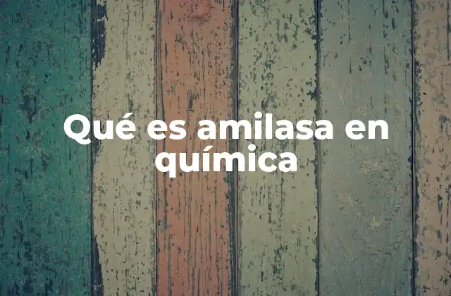 Qué es Amilasa en Química