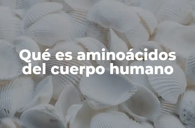 Qué es Aminoácidos Del Cuerpo Humano