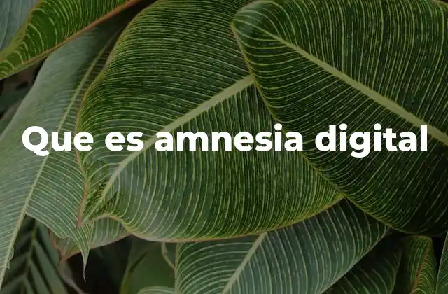 Que es Amnesia Digital