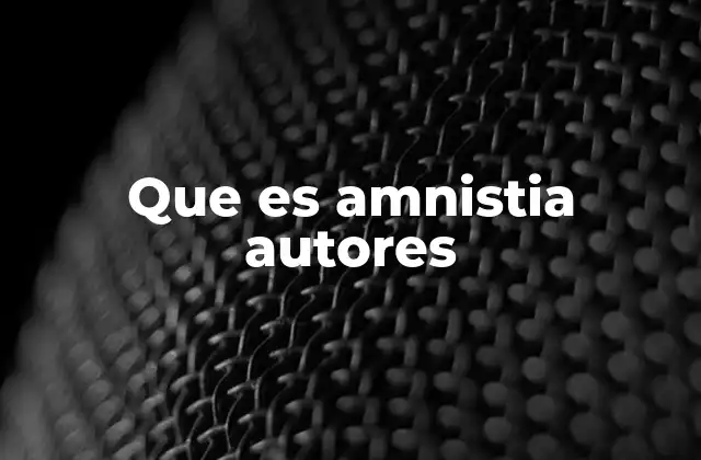 Que es Amnistia Autores