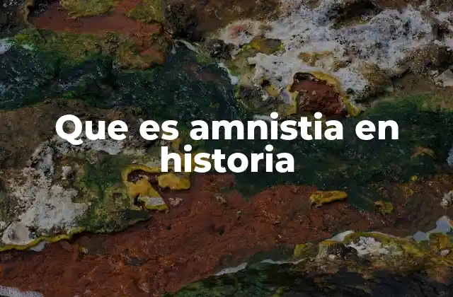 Que es Amnistia en Historia
