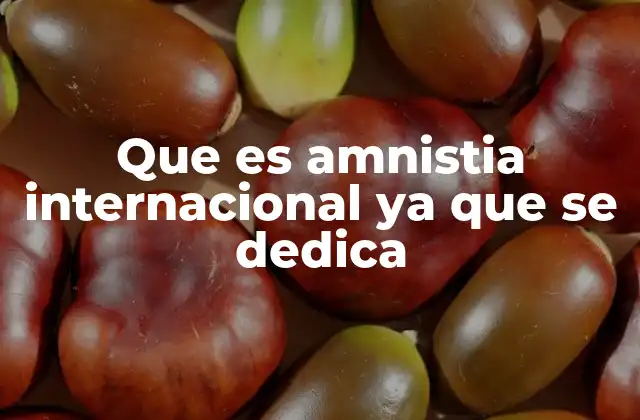 Que es Amnistia Internacional Ya que Se Dedica