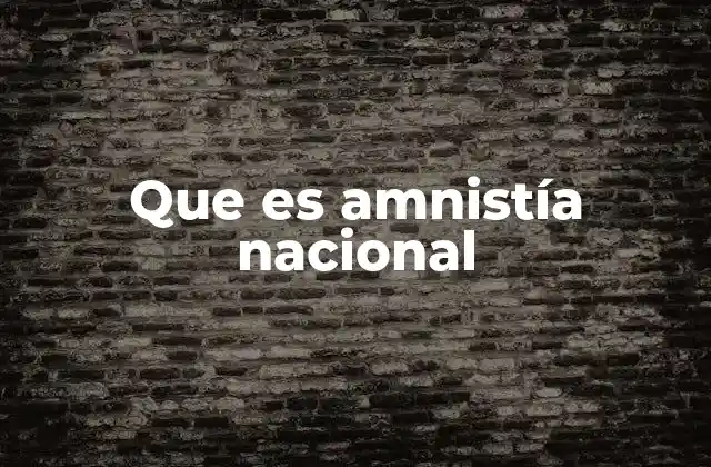 Que es Amnistía Nacional