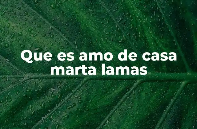 Que es Amo de Casa Marta Lamas