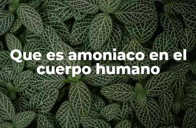 Que es Amoniaco en el Cuerpo Humano