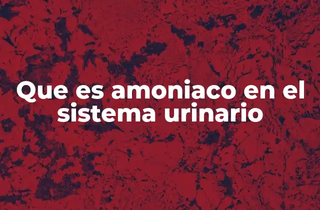 Que es Amoniaco en el Sistema Urinario