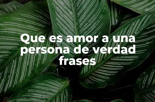 Que es Amor a una Persona de Verdad Frases