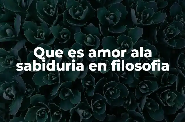 Que es Amor Ala Sabiduria en Filosofia 2 El origen del amor a la sabiduría en la Antigüedad