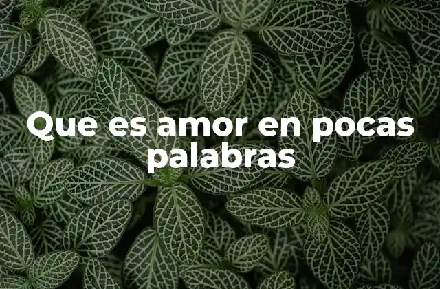 La esencia del sentimiento humano más importante