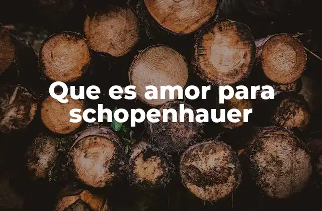 Que es Amor para Schopenhauer