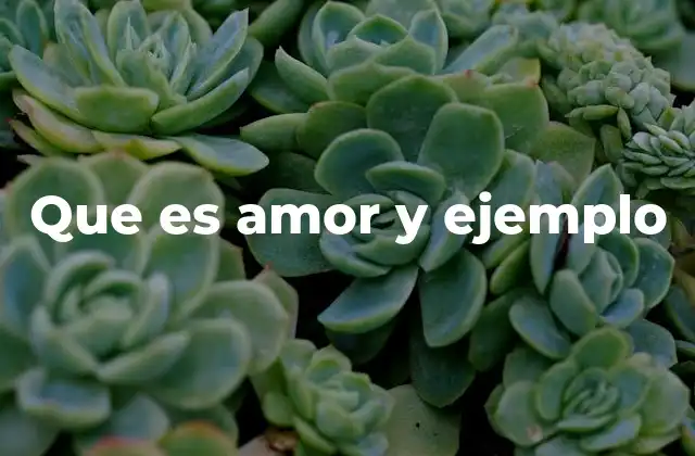 Que es Amor y Ejemplo 2 El amor como pilar de la sociedad