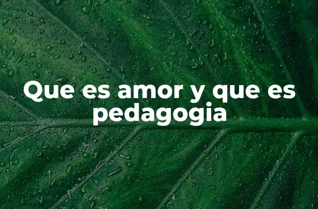 Que es Amor y que es Pedagogia